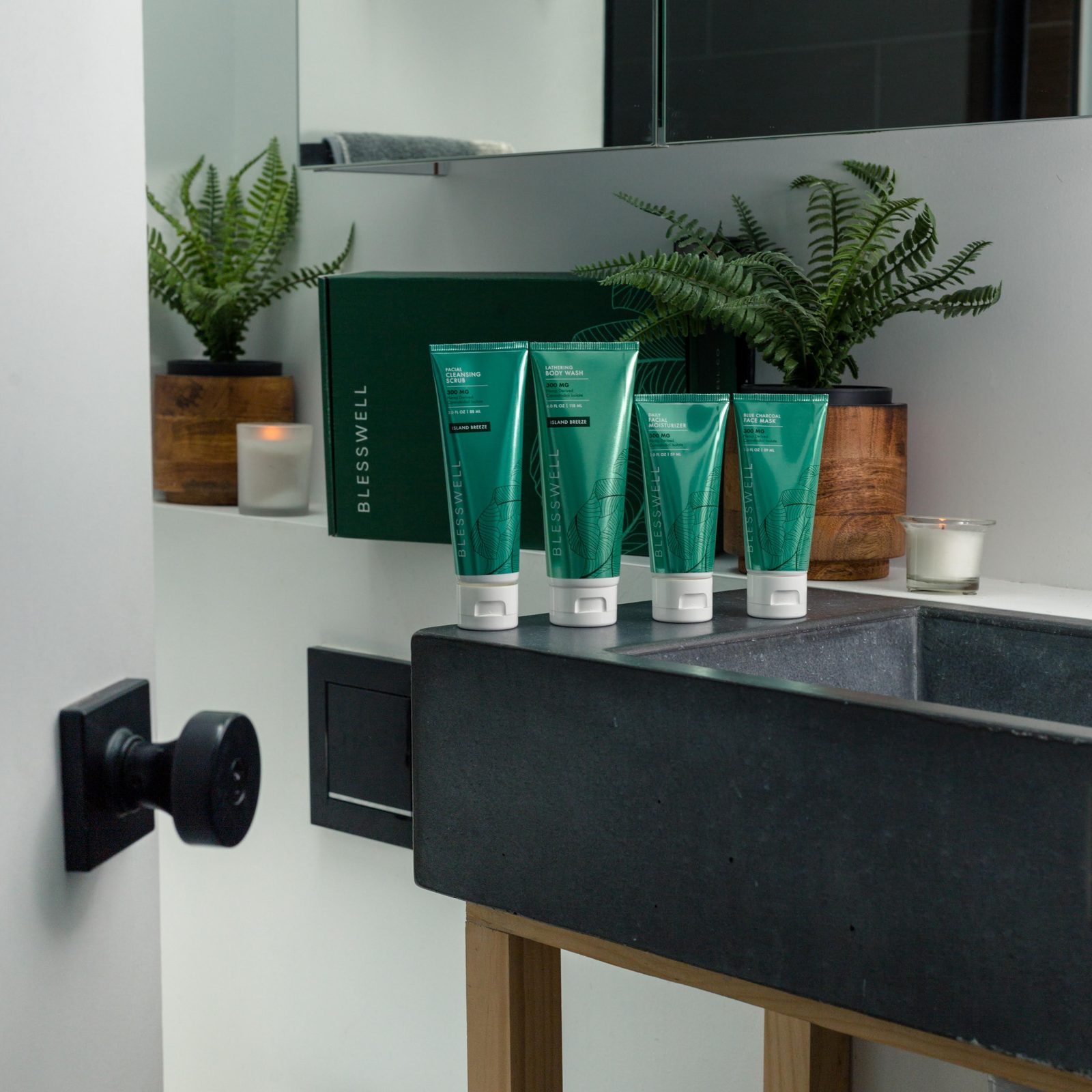 BLESSWELL tubes squared on a dark stone shelf between ferns