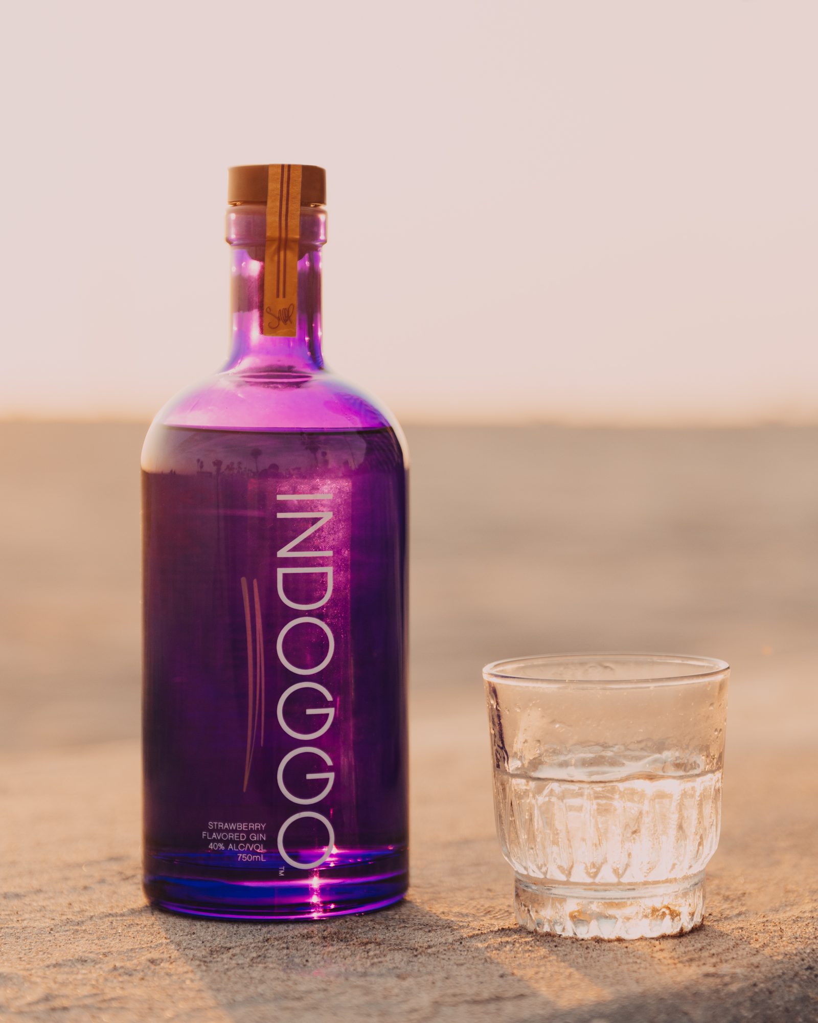 INDOGGO Gin bottle and glass on a wall at golden hour