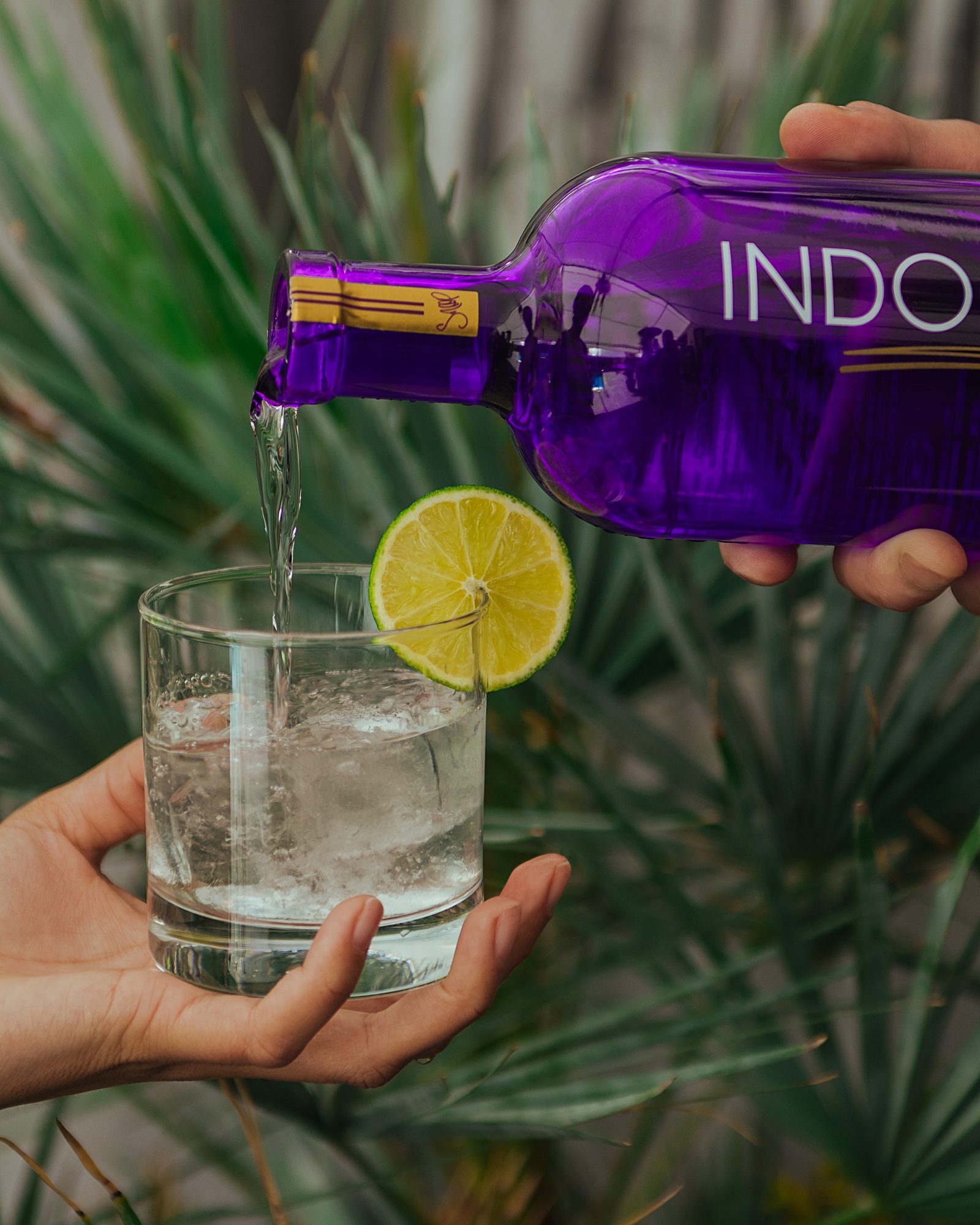 INDOGGO Gin being poured over ice into a garnished glass